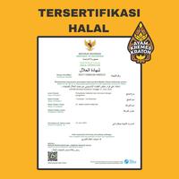 Gambar Kremes Kraton - Kremes Ayam Original 300G dari Endullita store undefined 4 Tokopedia