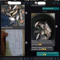 Gambar Top55- Essen Oplosan Kiduri 30ml Adun Mancing dari muarajayael undefined 5 Tokopedia