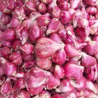 Gambar Bawang Merah Brebes Besar 1 Kg (Promo) dari MOUNTIQU undefined 1 Tokopedia