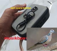 Gambar MP3 PANCINGAN SUARA BURUNG tekukur SPEAKER BLUETOOTH MUSIKBOX MP3 ALAT PIKAT BURUNG DERKUKU ruak ruak mandar batu perkutut sintar dan burung lainnya dari AldiiVinantaa 63 undefined 2 Tokopedia