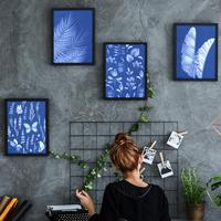 Gambar Terlaris! New! 120Sheets Sun Print Paper Kit Cyanotype Paper Solar Drawing Paper,High Sensitive Natu dari Alva yy undefined 4 Tokopedia