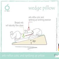 Gambar WEDGE PILLOW | BANTAL GUMOH BAYI dari BriZe OutentiC' undefined 2 Tokopedia