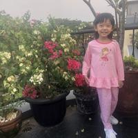 Gambar PAPAYUPA - baju anak perempuan baju anak cewek 1-6 tahun rok setelan anak perempuan baju gamis model baju anak anak gamis anak 5 tahun dress anak baju anak 4 tahun cewek Star Fairy Sleepwear Kids - hipo panjang, 1 tahun dari Oncare Official undefined 2 Tokopedia