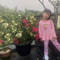 Gambar PAPAYUPA - baju anak perempuan baju anak cewek 1-6 tahun rok setelan anak perempuan baju gamis model baju anak anak gamis anak 5 tahun dress anak baju anak 4 tahun cewek Star Fairy Sleepwear Kids - hipo panjang, 1 tahun dari Oncare Official undefined 3 Tokopedia