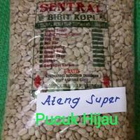 Gambar Terbaru Bibit Kopi Siap Semai Arabika Ateng Super Pucuk Hijau 1 Kg 2000 Biji Terlaris dari Sadewa Store1 undefined 3 Tokopedia