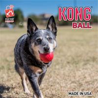 Gambar Dibeli Kong Dog Ball Toys Kb1 / Mainan Anjing Terbaik!!! dari yansss_ undefined 2 Tokopedia