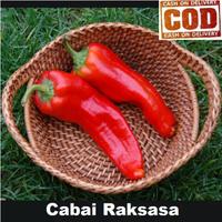 Gambar CABE RAKSASA MERAH -COD - 2 bibit / benih / Biji CABAI RAKSASA / CABE RAKSASA - Seeds Sayur dari taktokseller undefined 2 Tokopedia