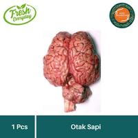 Gambar Otak Sapi Utuh Satuan Daging Otak Sapi Fresh 1pcs Segar dari antoo6shooppaall undefined 1 Tokopedia