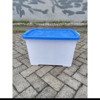 Gambar box container phylia 50 liter putih dari bonekabarbei undefined 3 Tokopedia