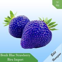 Gambar Xz1- Benih Bibit Biji Buah Blue Strawberry Biru isi 50 Pcs - Kiwi dari Warung Slamet77 undefined 1 Tokopedia