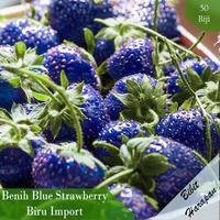 Gambar Xz1- Benih Bibit Biji Buah Blue Strawberry Biru isi 50 Pcs - Kiwi dari Warung Slamet77 undefined 4 Tokopedia