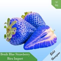 Gambar Xz1- Benih Bibit Biji Buah Blue Strawberry Biru isi 50 Pcs - Kiwi dari Warung Slamet77 undefined 3 Tokopedia