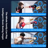 Gambar Mesin Tinju Music Boxing Machine Wall Target Digital Display - DT165 dari Gudang Murah JakBar undefined 4 Tokopedia