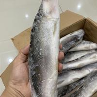 Gambar Ikan bandeng tanpa duri /cabut duri beku super @900-1000 gram dari hamdanihijab475 undefined 4 Tokopedia
