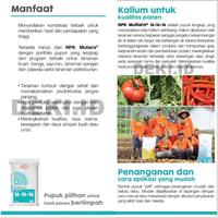 Gambar Pupuk NPK Mutiara 16 16 16 Meroke 50 Kg Kemasan Pabrik Via Kargo dari DEKI ID New Land undefined 5 Tokopedia