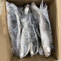 Gambar Ikan bandeng tanpa duri /cabut duri beku super @900-1000 gram dari hamdanihijab475 undefined 3 Tokopedia