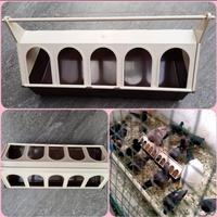 Gambar Feeder With Plastic Grid Art5 Tempat Makan Burung Aviary Italy 2Gr dari munastore333 undefined 5 Tokopedia