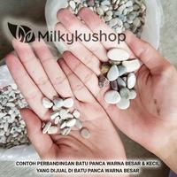 Gambar BATU PANCA WARNA HIAS TAMAN AQUASCAPE AQUARIUM VIA CARGO dari milkykushop_NEW undefined 4 Tokopedia