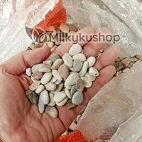 Gambar BATU PANCA WARNA HIAS TAMAN AQUASCAPE AQUARIUM VIA CARGO dari milkykushop_NEW undefined 3 Tokopedia