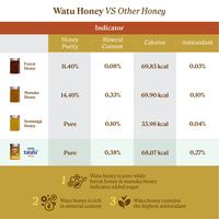 Gambar Watu Multifloral Honey - Madu Asli Luwu 400gr Sulawesi Selatan dari Harishop890 undefined 1 Tokopedia