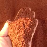 Gambar PASIR MALANG MERAH 0.5 1KG / PASIR MALANG AQUARIUM / PASIR TANAMAN dari Bogota Official undefined 3 Tokopedia