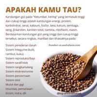 Gambar Ketumbar Hitam Original 100gr / Ketumbar Coklat / Ketumbar Organik / Ketumbar Asli / Tanpa Pemutih / Tanpa Pengawet / Tanpa Proses Kimia / Biji Ketumbar Original / Teh Ketumbar Original / Ketumbar organik zaidul akbar / ketumbar hitam organik dari trianton undefined 5 Tokopedia