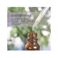 Gambar NEW!!! NOW Essential Oils Lavender/Peppermint/Lemon 30ml - Peppermint 30ml dari godongk undefined 5 Tokopedia