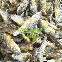 Gambar Ikan Danau singkarak/bilih kecil/bilis/Tawar padang 1kg/1000 gram dari Naros Machine undefined 1 Tokopedia