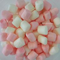 Gambar Mini marshmallow topping taburan coklat minuman 250 gram dari kakaspeed undefined 3 Tokopedia