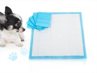 Gambar Training Pad 60 x 90 Alas Pipis Anjing Underpad Toilet Dog Kucing Cat dari PURNAMA CELL99 undefined 2 Tokopedia