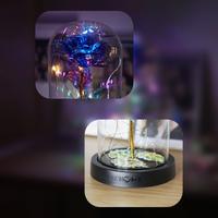 Gambar Lampu Led Light Bunga Mawar Dekorasi Beauty And The Beast Rose Acrylic dari Azkha Mart undefined 2 Tokopedia