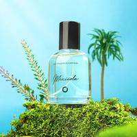 Gambar Mexicola Parfum by Onix Fragrance - Eau de Perfume 50ml dari Ni Kitacell undefined 3 Tokopedia