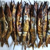 Gambar Ikan Roa / Ikan Julung Dari Ambon Yukurre dari yukurre undefined 1 Tokopedia