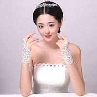 Gambar Sarung Tangan Renda Putih Sarung Tangan Princess Sarung Tangan Pesta Sarung Tangan Pengantin Sarung Tangan Jaring dari GROSIR AGEN PERSADA JAYYA undefined 1 Tokopedia