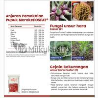 Gambar PUPUK MEROKE FOSFAT 50 KG KEMASAN PABRIK VIA GOSEND GRAB dari TOKO BAW0R undefined 3 Tokopedia