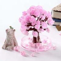 Gambar Paper Tree Flowering DIY Cherrytree Paper Sakura Crystal Trees Magically Paper Magic Growing Tree Japan Desktop Cherry Blossom dari Sanila Fashion undefined 1 Tokopedia