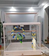 Gambar Parrot Toys Bird Accessories Parakeet Climbing Ladder with Colorf dari Ayunda Ratna Sari undefined 4 Tokopedia