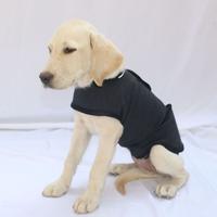 Gambar Practical Breathable Dog Anxiety Jacket Comfortable Soft Anti Anxiety Pet Coat Warm Adjustable Dog Calming Wrap Clothes Outdoor dari GROSIR AGEN HEXOS71901 undefined 1 Tokopedia