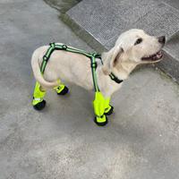 Gambar Reflective Waterproof Dog Boots Nightsafe Anti-Slip Full Coverage Dog Boots Breathable Easy To Clean Pets Dustproof Shoes dari panpang rahayu trrbarrrru81931 undefined 5 Tokopedia