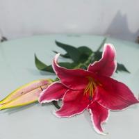 Gambar New Product - Casablanca Lily Fresh. - 7017 Bunga Lili Asli. Lily Fresh Kuntum. Mauza Shop- dari Mauza Shop- undefined 5 Tokopedia