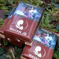 Gambar PROMO Mayan JB divine Kayu Manis dari akbarjaya18 undefined 1 Tokopedia