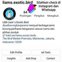 Gambar Burung Kenari AF Panda Gacor Istimewa dari Daylan Store undefined 3 Tokopedia
