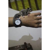 Gambar New Trend! Sugar Glider Joey Classic Grey Gojek dari Wearpack ID undefined 3 Tokopedia