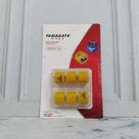 Gambar YAMAGATA Roller Roler Set Loler Loller Racing Vario 150 125 PCX ADV 150 160 Genio Beat New Deluxe Spin - 9 10 11 12 13 14 15 17 18 gram - 13 gr dari Sparepart Shopline undefined 1 Tokopedia