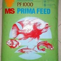 Gambar Pakan PF 1000 PF1000 pelet ikan benih bibit lele gurame nila 1kg dari ReplaceSTR undefined 3 Tokopedia