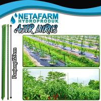 Gambar Ajir Tanaman - Plant Stake - 11mm x 120cm dari BUKA DEPOT undefined 2 Tokopedia