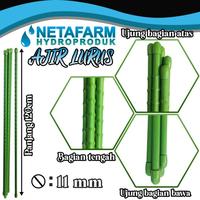 Gambar Ajir Tanaman - Plant Stake - 11mm x 120cm dari BUKA DEPOT undefined 1 Tokopedia