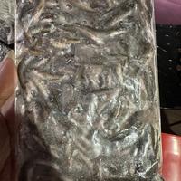 Gambar Anakan ikan gabus beku/pakan arwana dan ikan predator dari APOTEK H4NZEL undefined 3 Tokopedia