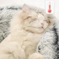 Gambar Soft Plush Round Cat Bed Warm Comfortable Winter Long Plush Pet Cat Bed Round Semi Enclosed Cat Nest For Small Dogs Sleep Bag dari Ireana Shop undefined 4 Tokopedia