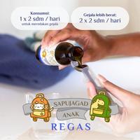 Gambar READY STOK Sapujagad Anak Regas by Rahsa Nusantara | Herbal Alami Flu Batuk Siap kirim dari JaeyunSim undefined 3 Tokopedia
